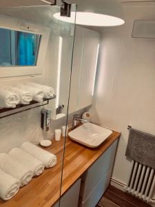 瓦讷Chez Alphonse : T3 cosy et rénové - proche du port的浴室配有盥洗盆、镜子和毛巾