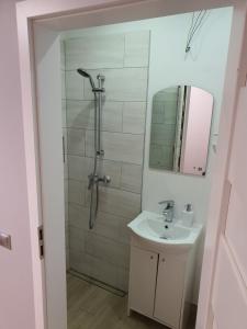 华沙Jasna Hostelik的带淋浴、盥洗盆和镜子的浴室