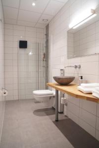StonglandseidetSenja Fjordhotell and Apartments的一间带水槽和卫生间的浴室