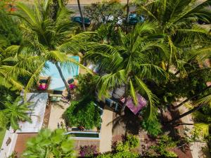 圣吉尔莱班Hôtel Coco Island的棕榈树建筑的顶部景色