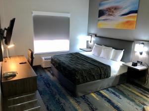 坦帕坦帕中心拉金塔旅馆及套房酒店的配有一张床和一张书桌的酒店客房