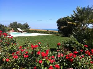 努马纳Appartamento sulla Riviera del Conero的一座种有红色鲜花的花园和一个游泳池
