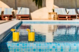 洛克瓦罗戈兹尼察Luxury Apartments Tafra的两杯橙汁坐在游泳池边