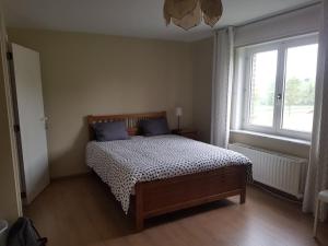托尔豪特B&B Wijnendalvallei的一间卧室配有一张带蓝色枕头的床和一扇窗户。