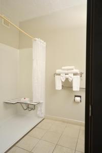 阿尔伯克基机场戴斯酒店及套房的一间浴室