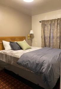 沙斯塔山Monte Bianco Inn的一间卧室设有一张床和一个窗口