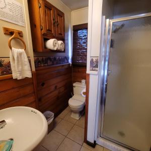 大熊湖Grey Squirrel Resort的浴室配有卫生间、盥洗盆和淋浴。