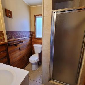 大熊湖Grey Squirrel Resort的一间带卫生间和淋浴的浴室
