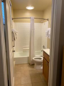 东斯特劳兹堡Pocono Villas Resort的带浴缸、卫生间和盥洗盆的浴室