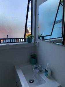 皮克顿The Villa的一间带水槽的浴室和一个带植物的窗户