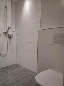 腓特烈港Apartment "SUN"的白色的浴室设有卫生间和淋浴。