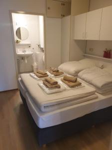 霍勒姆泽布拉新星公寓的客房设有两张床,浴室内设有水槽