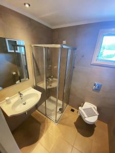 瓦西利基Cosmos Hotel的带淋浴、盥洗盆和卫生间的浴室