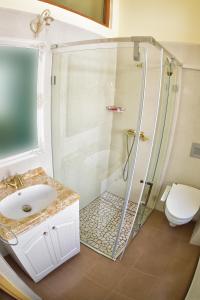 布拉索夫小屋旅馆的带淋浴、盥洗盆和卫生间的浴室