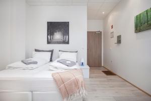 雷克雅未克Blue Mountain Apartments by Heimaleiga的卧室配有一张白色的床,床上有毯子
