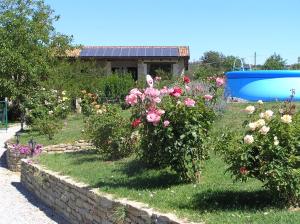 BossolascoCascina Curairone的鲜花盛开的花园以及位于后面的游泳池