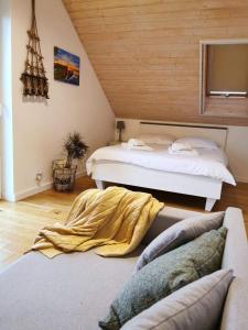 MałkinieRelax Houses - Domy Mazur的一间带两张床和一张沙发的卧室