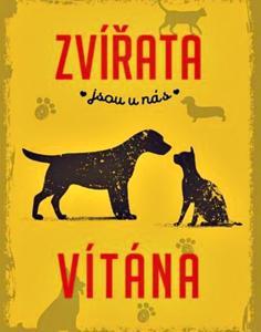 哈拉霍夫Horská chata KRKONOŠKA HARRACHOV & Privat wellness relax GROTTA SPA的一本书,书中有两只狗,背景黄色