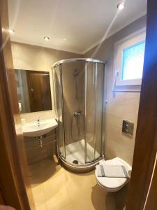 瓦西利基Cosmos Hotel的带淋浴、卫生间和盥洗盆的浴室