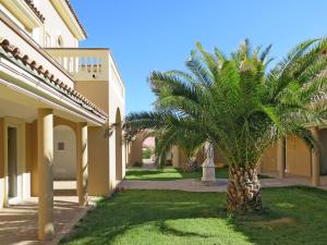 里帕尔贝拉Apartment Il Felciaione by Interhome的一座建筑物旁的院子中的棕榈树