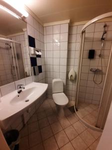 孙达尔瑟拉Sunndalsøra Hotell的一间带水槽、淋浴和卫生间的浴室