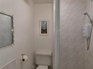 埃尔森汉姆Stansted Lodge Guest House的白色的浴室设有卫生间和淋浴。