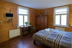 利耶帕亚艾泽拉玛雅酒店的一间卧室配有一张床、一张书桌和一台电视