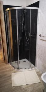维罗纳Il Glicine的浴室里设有玻璃门淋浴