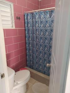 巴亚希贝Hotel Tipico Maura的粉红色的浴室设有卫生间和淋浴。