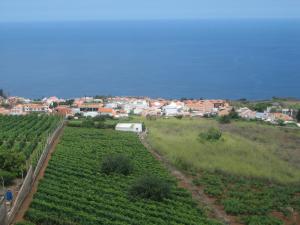 Comfortable Apartment in the North of Tenerife鸟瞰图