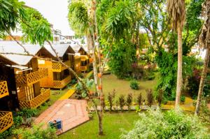 弗朗西斯科德奥雷利亚纳港Hotel El Auca的棕榈树度假村的空中景致