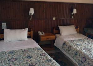 萨摩斯博尼斯酒店的酒店客房带两张床和电话