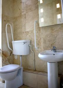 都柏林杰克逊科特酒店的一间带卫生间和水槽的浴室