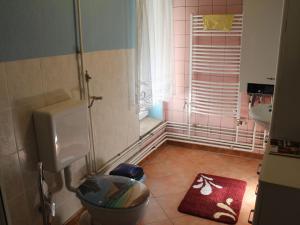 克勒珀林Cheerful Apartment in Brusow with Terrace, Garden and Barbecue的相册照片