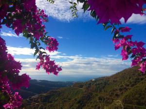 阿里纳斯Belvilla by OYO Casa Martijo的从一束鲜花中欣赏到山谷的景色