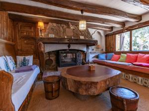 帕拉弗鲁赫尔Belvilla by OYO Can Vives的带沙发和壁炉的客厅