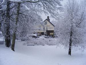 鲍内斯温德米尔比奇伍德酒店的一座有雪盖的院子,后面有一座房子