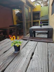 阿加斯杜尔斯阿瓜杜尔科斯特拉萨斯公寓式酒店的花盆里的木桌