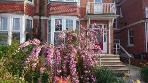 贝克斯希尔Gorgeous 4-Bed House in Bexhill-on-Sea sea views的相册照片