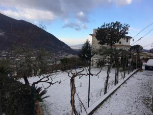 卡瓦德蒂雷尼白塔住宿加早餐酒店的一座有树木和建筑物的雪覆盖的院子