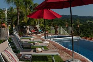 克鲁兹德华纳卡克斯特尔Villa Bella Bed & Breakfast Inn的游泳池旁的游泳池配有椅子和遮阳伞