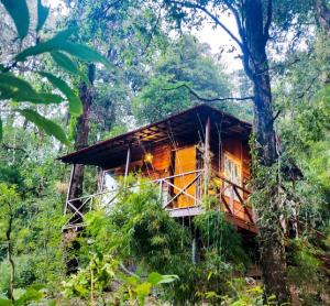 奈尼塔尔Ayar Jungle Resort的森林中间的树屋