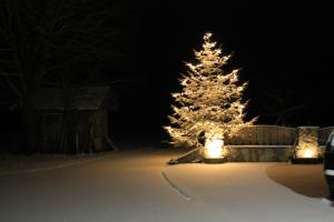 LidaunBiohof Untergrabenbauer的夜晚在院子里有灯的圣诞树