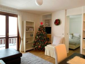 帕索圣佩莱格里诺Appartamento San Pellegrino的客厅里放着圣诞树