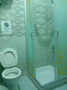 瓦迪穆萨Petra Visitors Apartments的一间带卫生间和淋浴的浴室