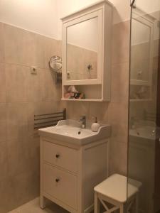 陶普利茨Haus Edelgrün的白色的浴室设有水槽和淋浴。