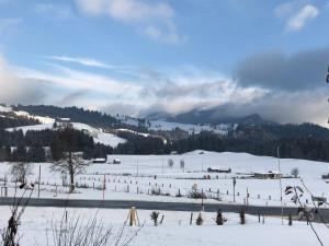 陶普利茨Haus Edelgrün的山地覆盖的雪地
