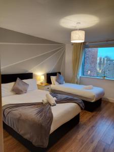 基拉尼Wild Atlantic Apartments Killarney的配有窗户的酒店客房内的两张床