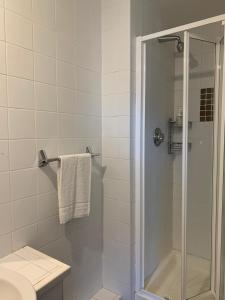 基拉尼Wild Atlantic Apartments Killarney的带淋浴、卫生间和盥洗盆的浴室