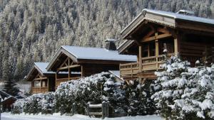夏蒙尼-勃朗峰Chalets Grands Montets的小木屋,屋顶上积雪